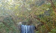 [2012暑期征文]青龙瀑布游记_450字