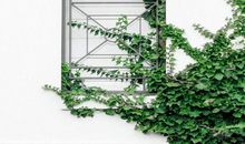 [2012暑期征文]回忆，思念_800字