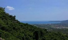 [2012暑期征文]亚龙湾热带天堂森林公园一日游_1200字