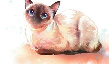 [2012暑期征文]快乐的笑猫_800字