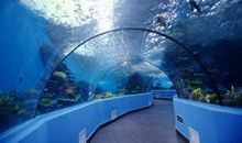 [2012暑期征文]青岛极地海洋世界游记_800字