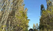 一路上有你_700字