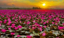 红莲湖之行_900字