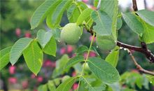 [2012暑期征文]及时雨_700字