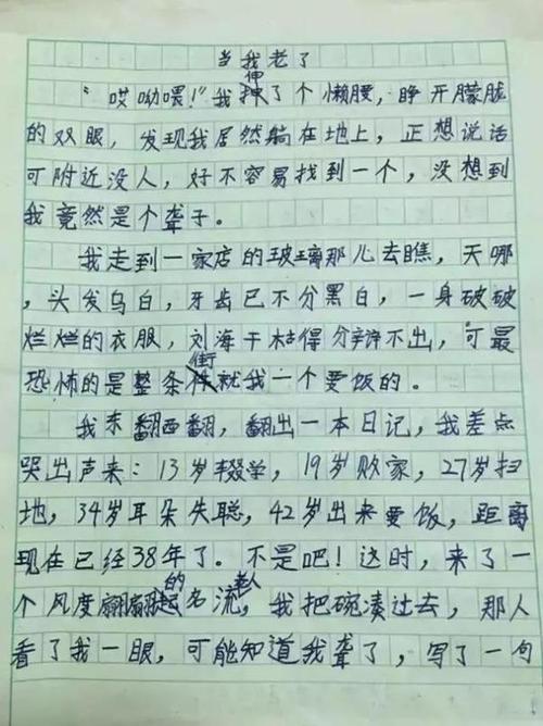 我的语言老师_650字