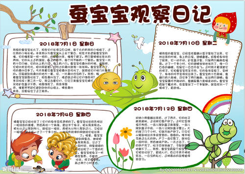 蚕宝宝观察日记_800字
