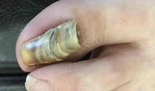 我为爸爸剪趾_500字