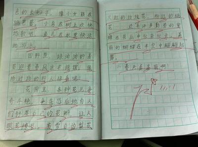 [2012年夏季论文]我学会了洗碗_200字