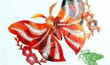 [2012暑期征文]只待破茧成蝶_600字