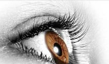 十三双眼睛（?2）?续_600字