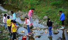 我的小学生活（第一章）林初颖_250字