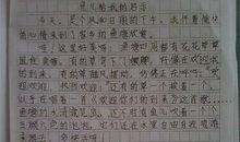 关于生活告诉我的作文：生活需要勇气_550字