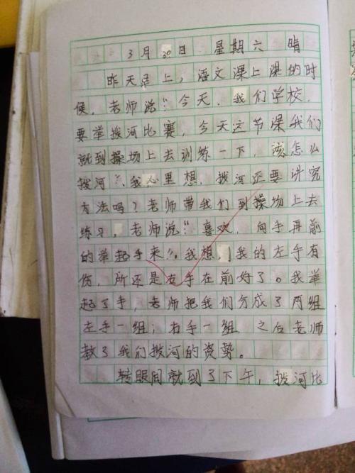 学校学生夏天每日300字：快乐的小乌龟_250字