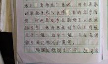 小学生暑假日记300字：幸福的小乌龟_250字