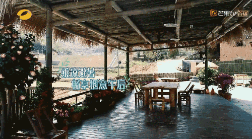 我要去这一生_600字