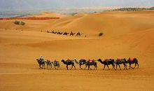 [2012暑期征文]挑战自我——宁夏沙坡头滑沙游记_900字