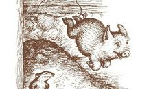 [2012暑期征文]读《夏洛的网》有感_800字