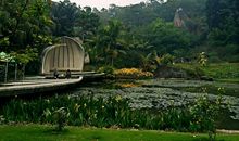 [2012暑期征文]游万石植物园_550字