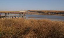 [2012暑期征文]木兰围场游记_600字