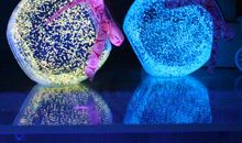 [2012暑期征文]《对着一千颗星星许愿》读后感_700字