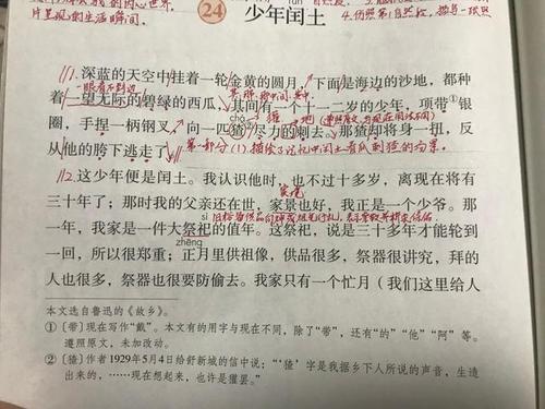描述少年外表的段落