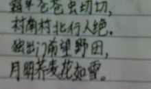 [暑假日记]没有失败_50字