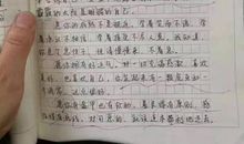 [暑假日记]快乐的下午_500字