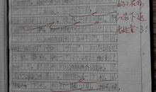 丰富多彩的课余生活_250字