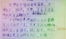 “淘气”的我_300字