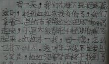 暑假日记：包馄饨_800字