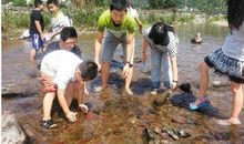 暑假日记：捉鱼记_350字