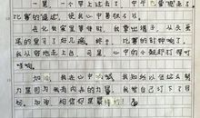 暑假日记：我的补习班老师_350字