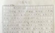 暑假日记：乡村小景_450字