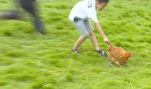 [暑假生活]捉鸡_100字