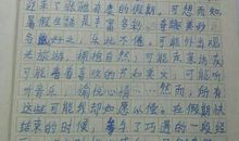 小学生暑假日记作文——最假日记三_1200字