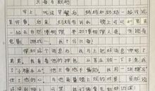 小学生暑假日记作文——最假日记二_550字