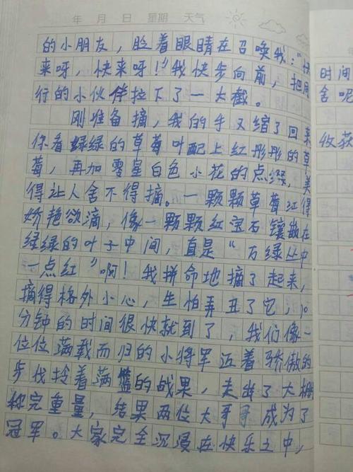 小学夏季日：玩水_200字