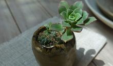 [2012暑期征文]让阳光洒满世界_900字