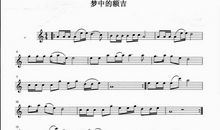 [2012暑期征文]暑期变奏曲_1500字