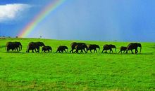 神秘的旅程_350字