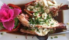 欢快的大雨_500字