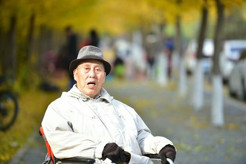爸爸的幸福生活_1500字