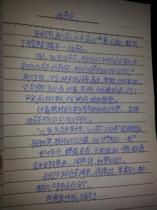 十六岁的花_400字