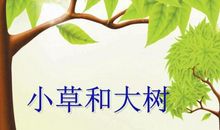 四季与小草_300字