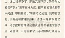 暑假里的趣事_550字