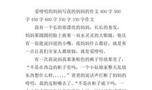 爱唠叨的妈妈_350字