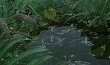 残留的雨滴_700字