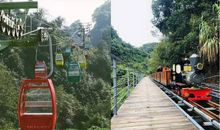 在节日里—游森林公园_400字