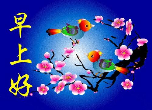 祝福永远不会迟到_550字