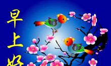 祝福永远不会迟_550字